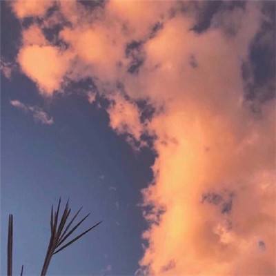 火柴人篮球破解版