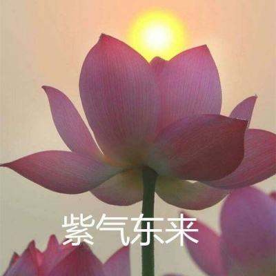 利发真人平台（官方）综合娱乐APP下载